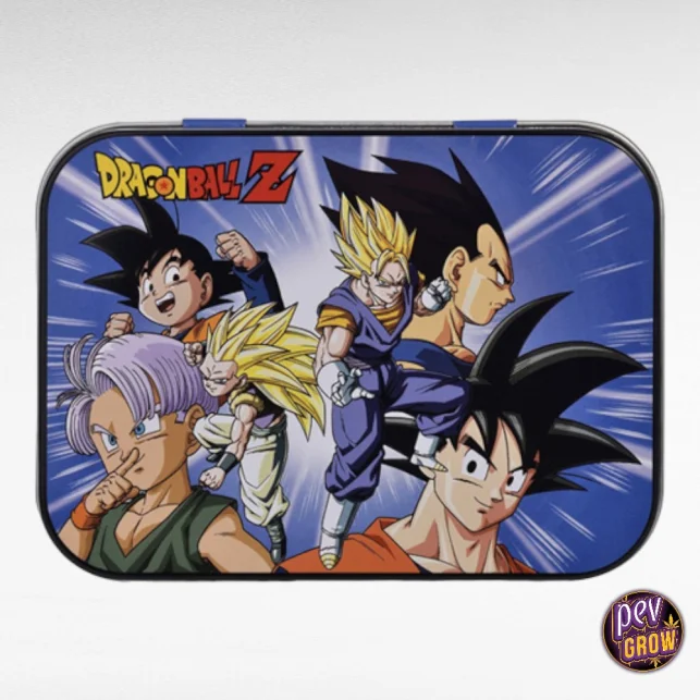 Kostenloser Versand Dragon Ball Z Metallbox 11x8x2,5 cm mit Pflastern · Langlebige Aufbewahrungsdose für Buds und Zubehör