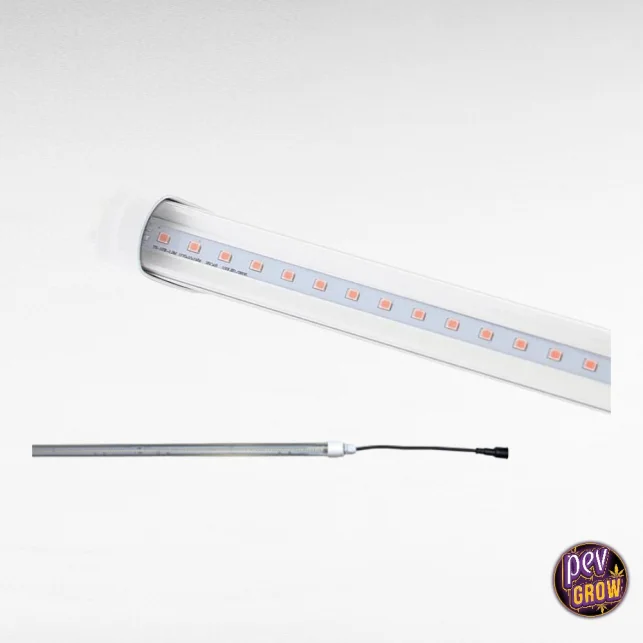 Solux Pro LED Röhre 10W – Vollspektrum 60cm Grow-Lampe für Stecklinge & Zusatzbeleuchtung Preisknaller