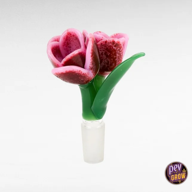 Online Kaufen Bong Bowl Tulip Pink – 14mm Glasstück für sanfte Hits