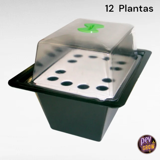 X-Stream 12 Pflanzen-Aeroponik-Propagator – Schnellwurzler Klon-System · 15 L Nur Für Kurze Zeit