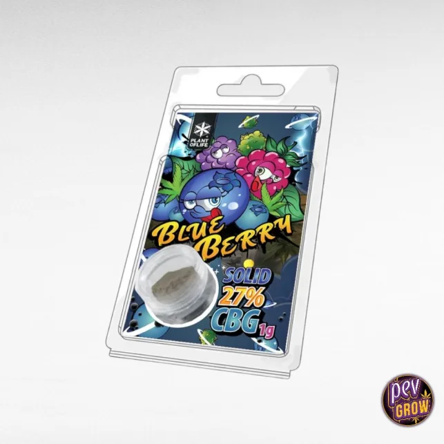 CBG Hasch 27 % Blueberry 1 g – Premium nicht-psychoaktives Harz mit süß-fruchtigem Aroma Nur Für Kurze Zeit