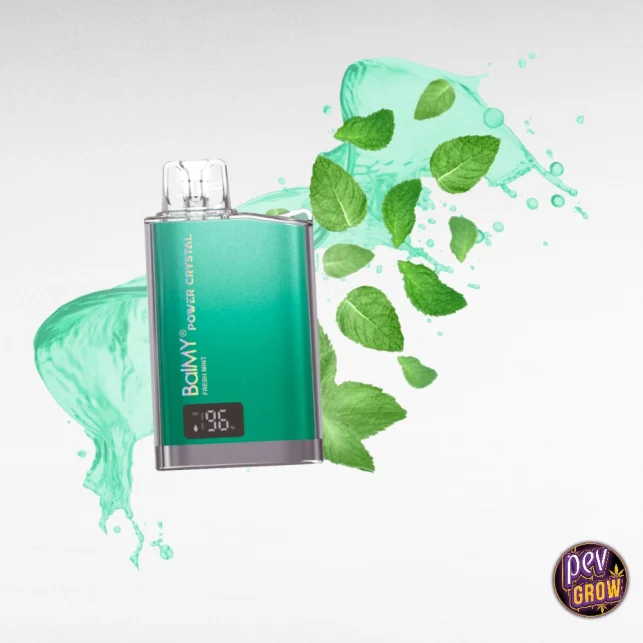 Balmy Power Crystal Fresh Mint Einweg Vape – 8000 Züge 0 mg Heißes Angebot