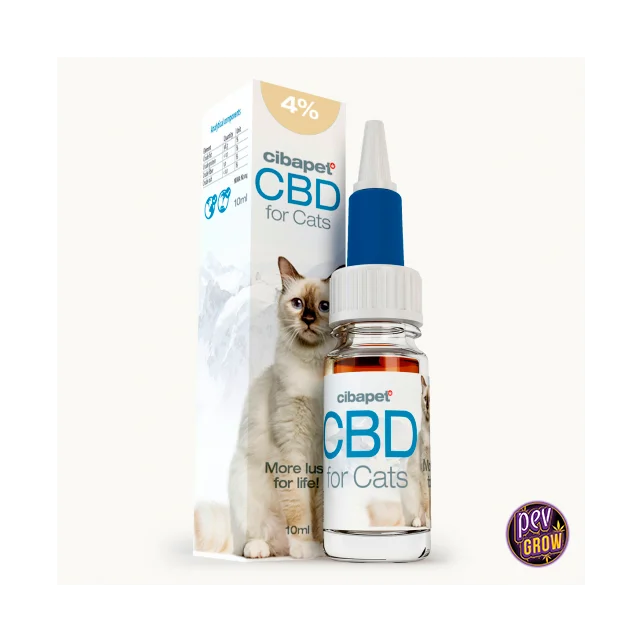 Direkt Vom Hersteller 2 % CBD Öl für Katzen – Cibdol · Natürliches Hanfextrakt zur Beruhigung und Gelenkunterstützung