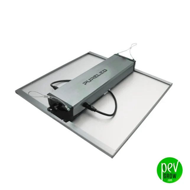 Neue Kollektion Pure LED Q240 Panel – 240W Vollspektrum-LED-Licht für den Indoor-Anbau