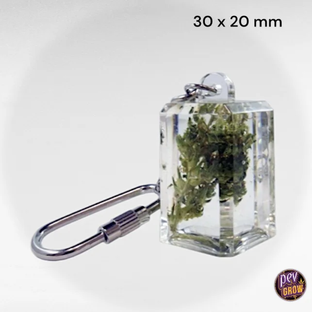 Cannabis-Bud-Schlüsselanhänger – Echter verkapselter Weed in Methacrylat · Langlebig & diskret, ideales Geschenk für Stoner Jetzt Kaufen