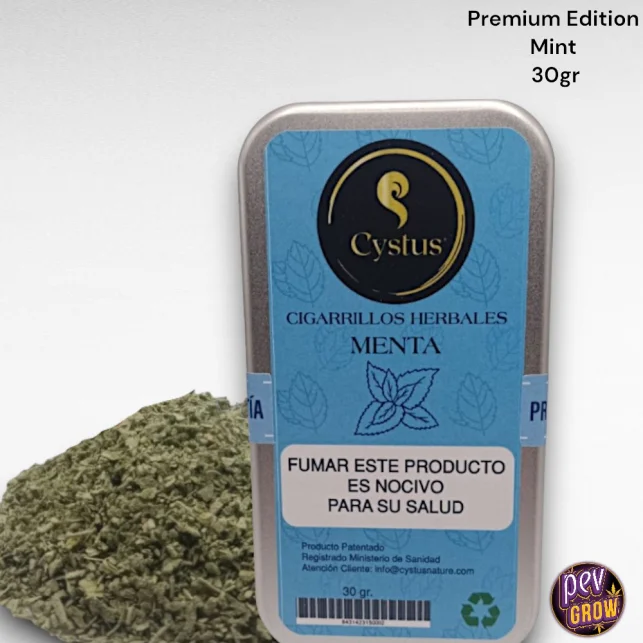 Saisonangebot Kräuterzigarette Cystus Premium Edition Minze – Tabakfreie, erfrischende Mischung · 30g Dose für sanfte & natürliche Sessions