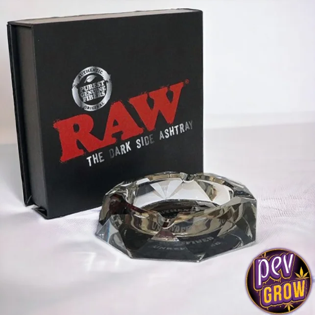 Geprüft RAW Darkside Glasaschenbecher – Achteckiger Weed-Aschenbecher · 4 Aussparungen