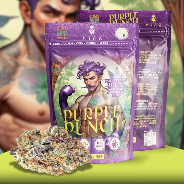 Purple Punch CBD Blüten – Süß, entspannend & laborgeprüft (≤0,2 % THC) Heißes Angebot
