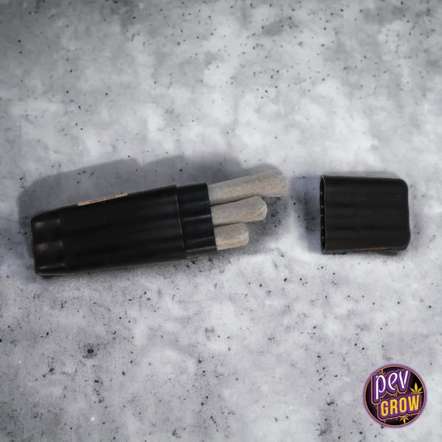 Direktkauf RAW Case 3 Cones – Hartschalenhülle für King Size & 1¼ Pre-rolls