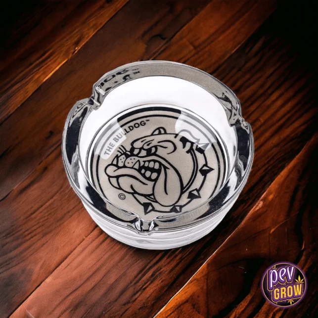 Bestpreis Der Bulldog Original White Crystal Aschenbecher – 10 cm Glas-Aschenbecher · Minimalistisches Design für saubere Sessions