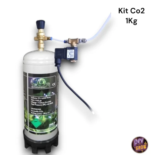 CO2-Kit mit Einwegflasche 1 kg – Komplettset mit Magnetventil Preisreduziert