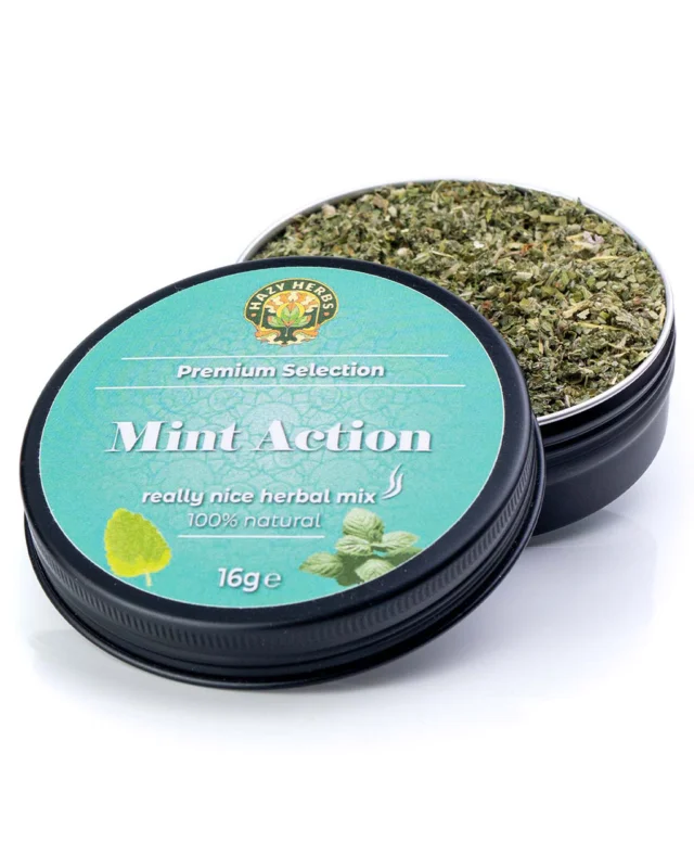 HAZY HERBS Kräutermischung ‘Mint Action’ | 16g Top-Angebot