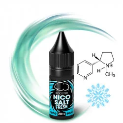Solange Der Vorrat Reicht Nikotin-Shot NicoSalt Fresh 20mg/ml (50%PG / 50%VG) - Eliquid France | 10ml